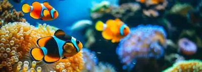 Aquarium avec des poissons clowns