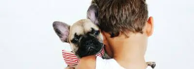 chat-chien