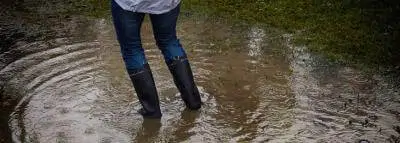 assurance-degat-des-eaux