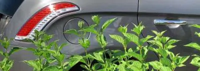 arriere-voiture-trappe-essence
