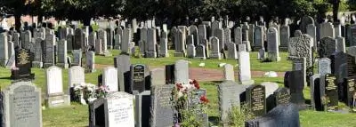 cimetiere pierres tombales fleurs