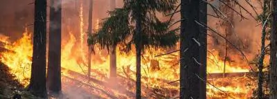 Le bilan des incendies atteint 500 millions d'euros