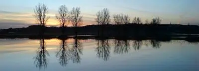 inondations-arbres-eau