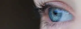 oeil vision