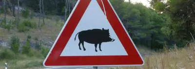 panneau signalisation animal sauvage