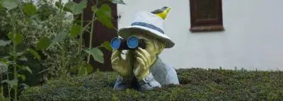 statue-jumelles-surveillance-maison