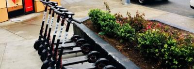 trottinette-bird