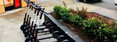 trottinette-bird