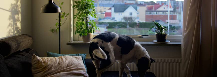 investissement-locatif