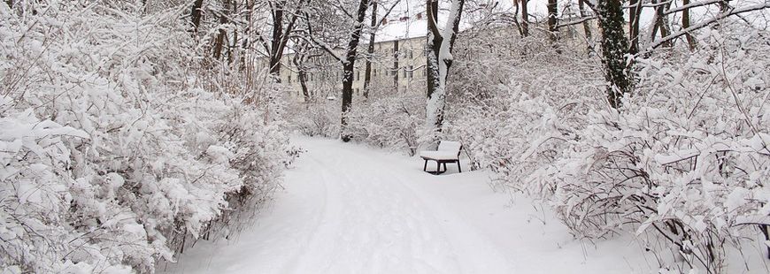 Neige 300 000 Foyers Sans électricité Circulation