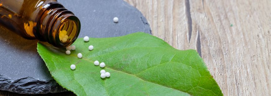 Mutuelle médecine douce : quel remboursement en 2022 ? homeopathie-medecine-douce