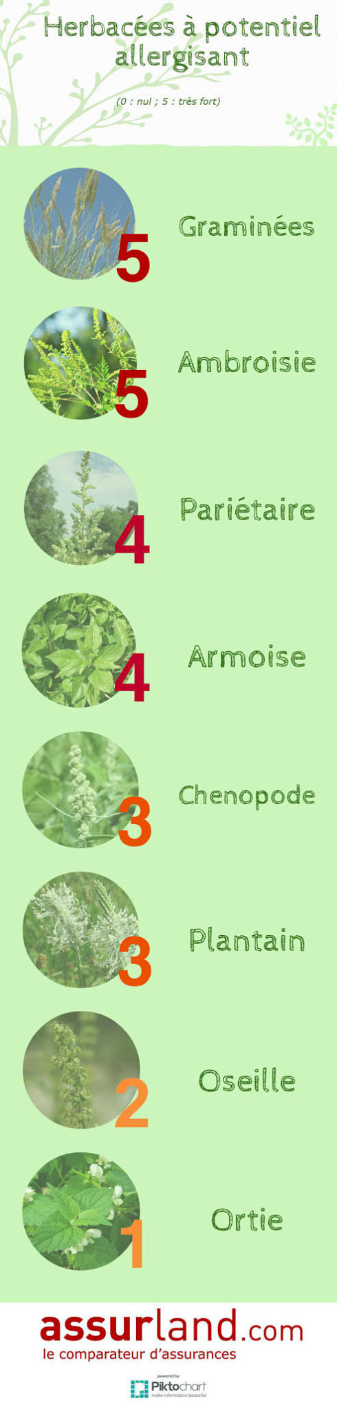 Infographie-herbacees-potentiel-allergisant