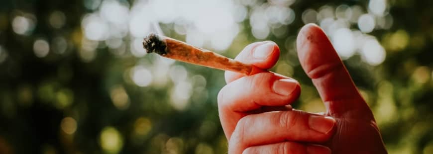 Le cannabis est quasiment tout le temps consommé sous forme de joint joint-cannabis