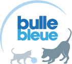 Logo Bulle Bleue