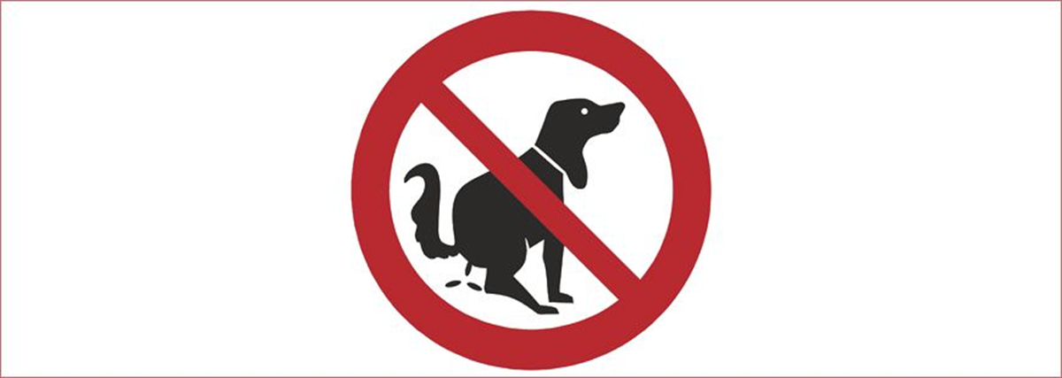 Ce Maire Veut En Finir Avec Les Crottes De Chien Dans Sa Ville